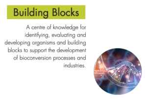 BioDF - Building Blocks